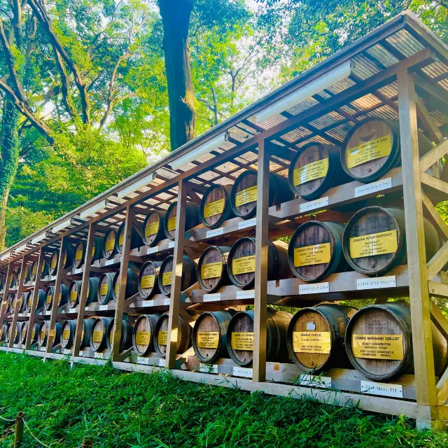 Meiji Jingu Shrine