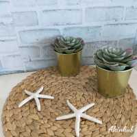 คาเฟ่ริมทะเล สัตหีบ
