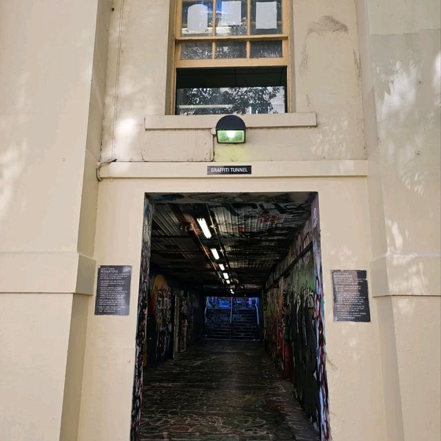 悉尼大學校園內的塗鴉隧道🎨🎭
