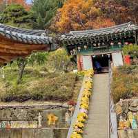 Fortune paper at Cheonggyesan Temple 
