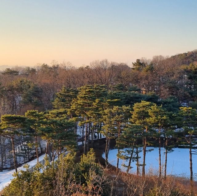 경기도 아이랑 호캉스 하기 좋은 롤링힐스 호텔