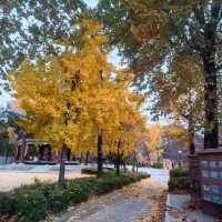 韓國必去免費親子遊 - 兒童大公園
