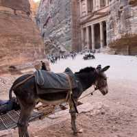 A Mysterious Petra Treasury 