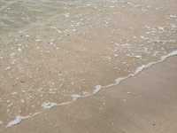 Triple N จิบกาแฟ กินอาหารเช้า ริมหาดบางแสน