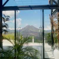 Olympus Coffee Bali