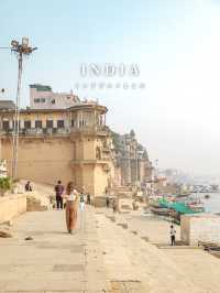 インドグルメまとめ📍INDIA