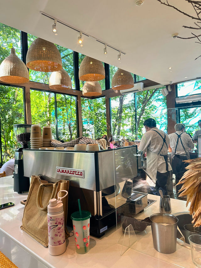 MiVana Coffee กาแฟอินทรีย์รักษาป่า 
