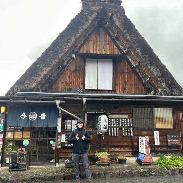 Retro Traditional Japanese houses 