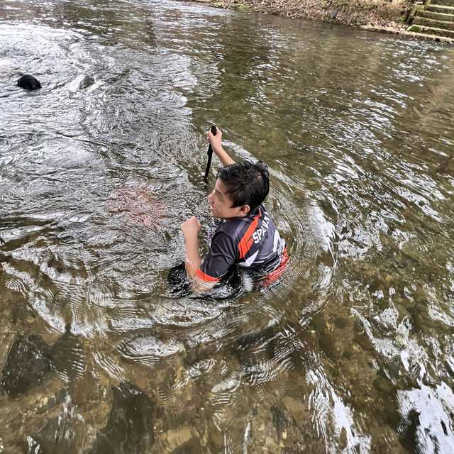 This place is a unique picnic site!