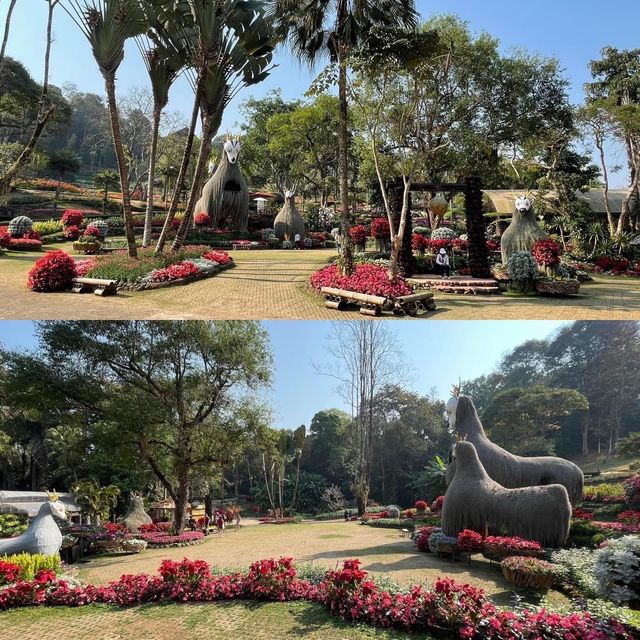สวนแม่ฟ้าหลวง @ดอยตุง