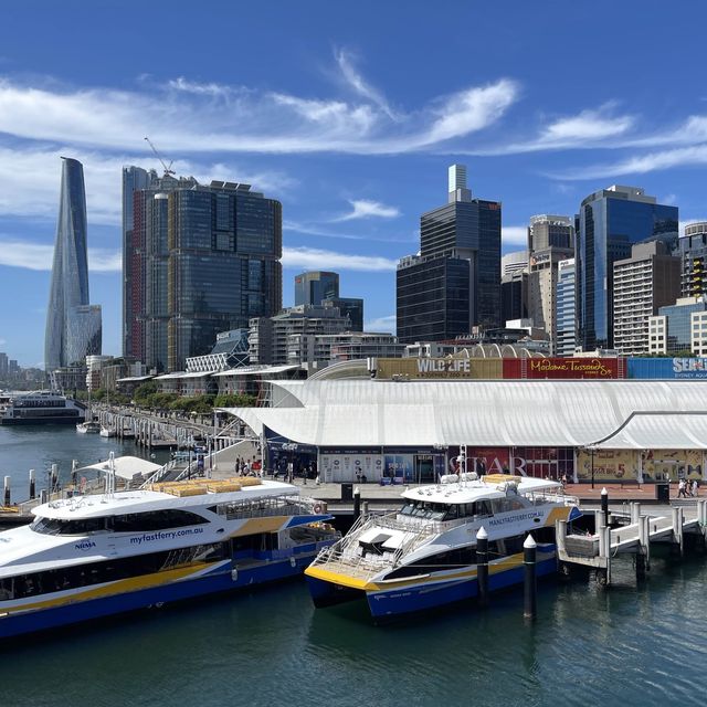 Stunning Darling Harbour from the bridge