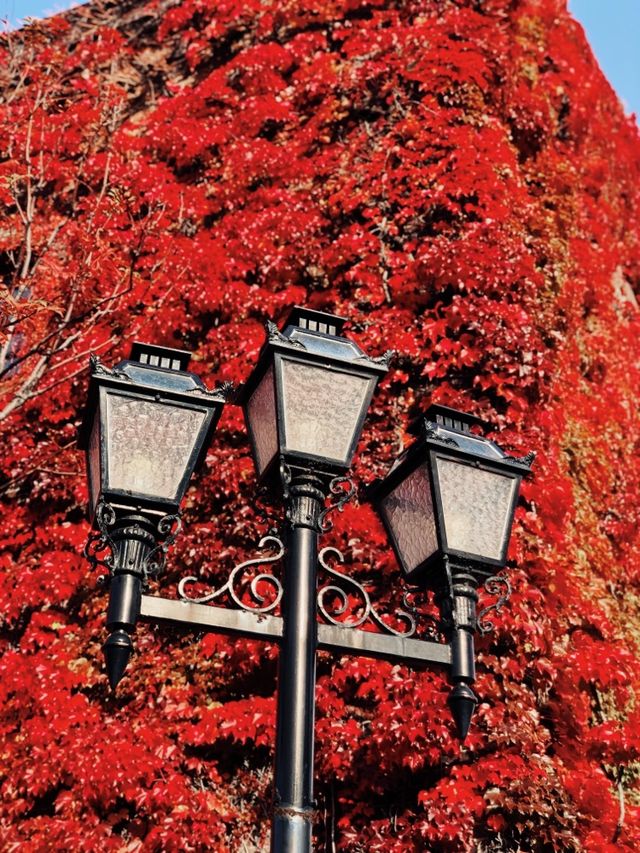 札幌好出名嘅啤酒廠✨