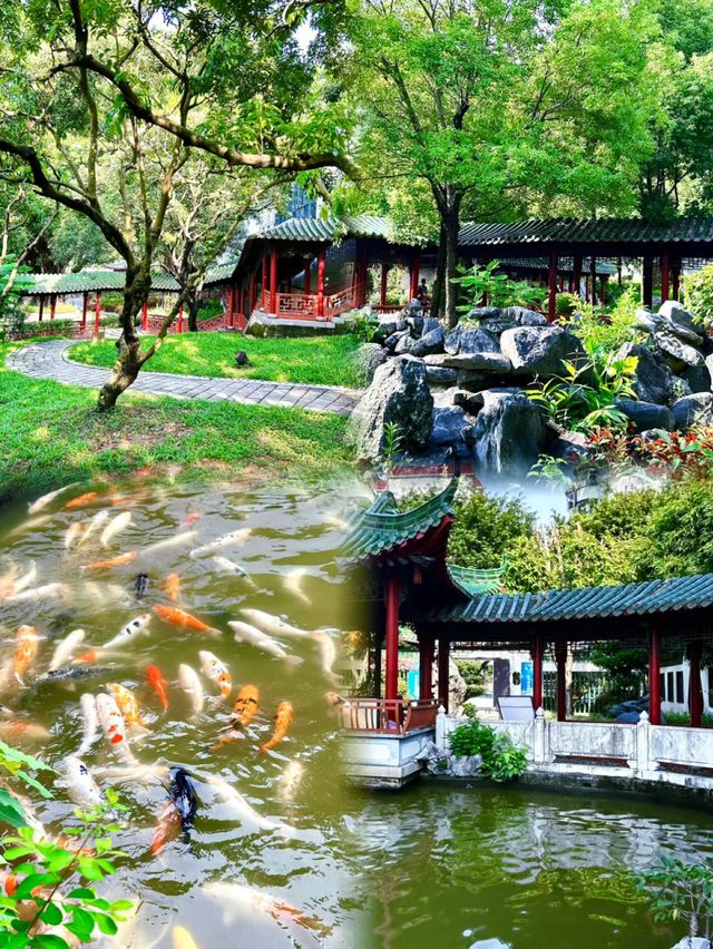 【2024】深圳錦繡園：花海仙境，尋找生命驚喜！