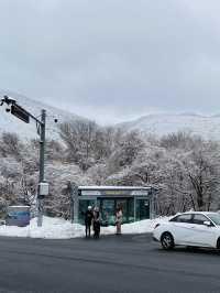 Experience White Winter @Jeju Island