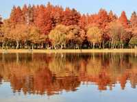 The largest park in Tokyo