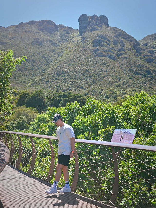 Kirstenbosch National Botanical ปลูกได้ที่เดียว