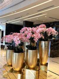 Higher standard luxury hotel in Doha