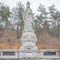 겨울꽃 동백과 바다가 아름다운 지장대사