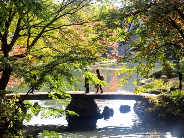 【東京都】和歌の心息づく雅な大名庭園『六義園』