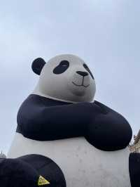 귀여운 판다🐼가 가득있는 용인 에버랜드에서 추억 잔뜩🎡