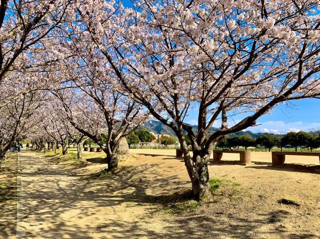 Bunkanomo Park