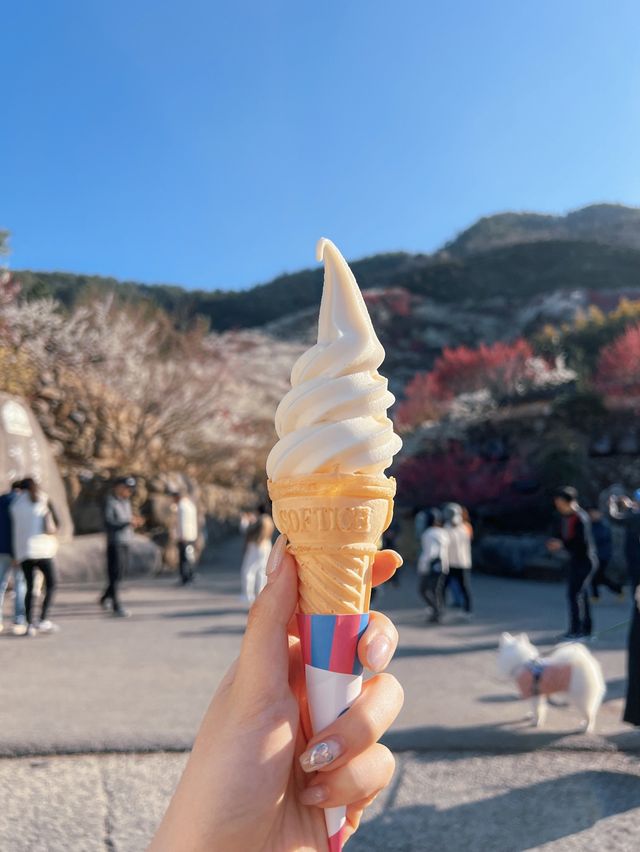 다가오는 3월, 광양에 꼭 가야하는 이유 🌸