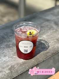 【福岡カフェ】桜やミモザ、チューリップがたくさんの春爛漫カフェ