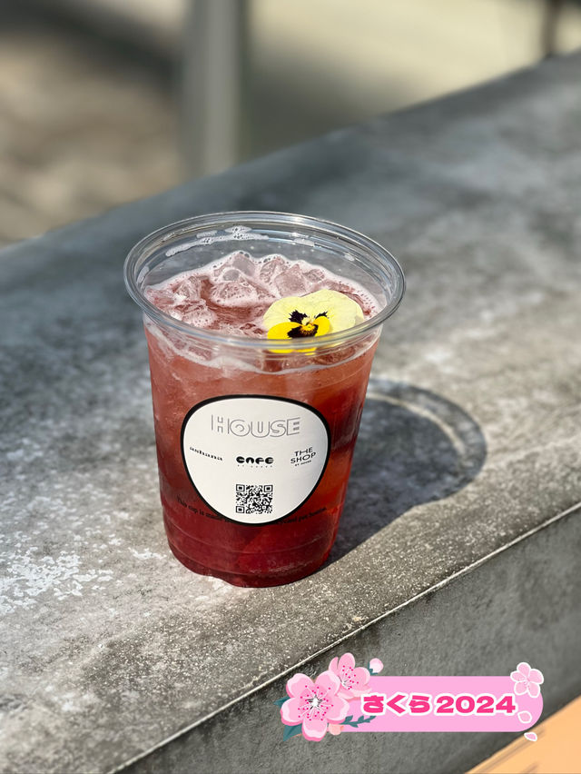【福岡カフェ】桜やミモザ、チューリップがたくさんの春爛漫カフェ