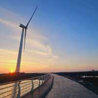 Windfarm Park at Aewol, Jeju