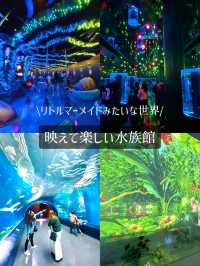【東京】【品川】リトルマーメイドっぽいデジタルアート水族館🌴🐬✨
