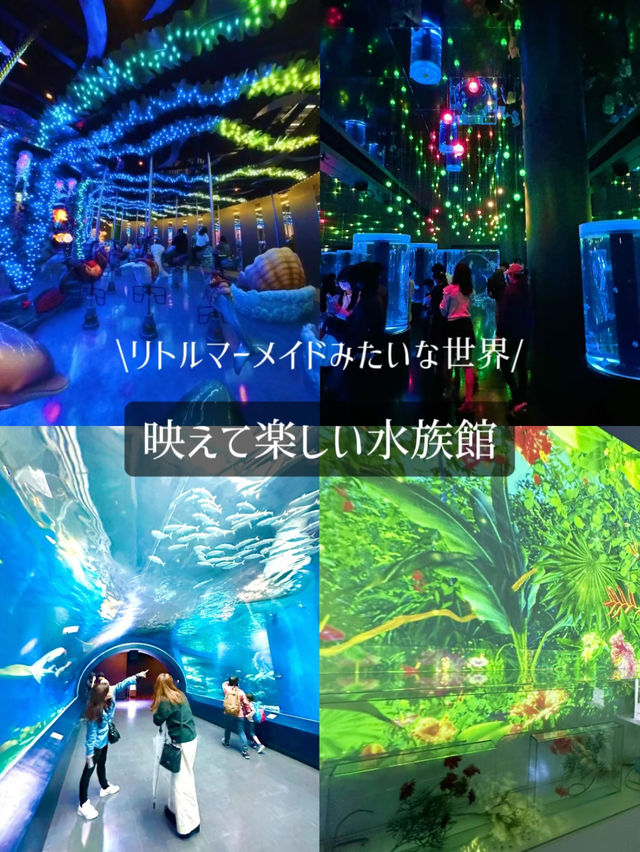 【東京】【品川】リトルマーメイドっぽいデジタルアート水族館🌴🐬✨