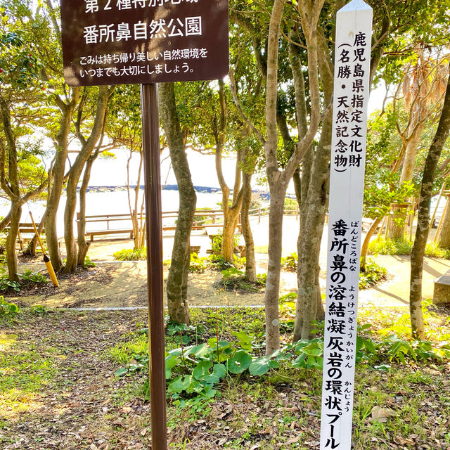 ［番所鼻自然公園］- 享受大自然🍃