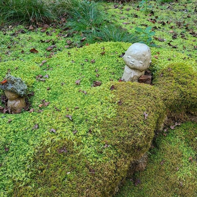 歴史ある門跡寺院⭐大原三千院⭐