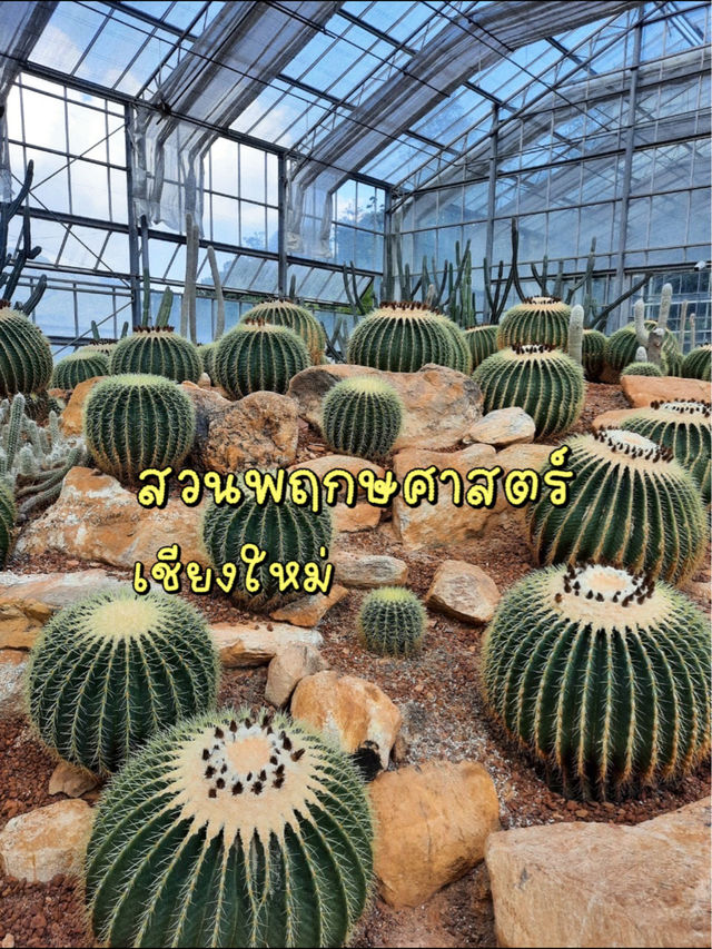 🌵สวนพฤกษศาสตร์ อ.แม่ริม | จ.เชียงใหม่