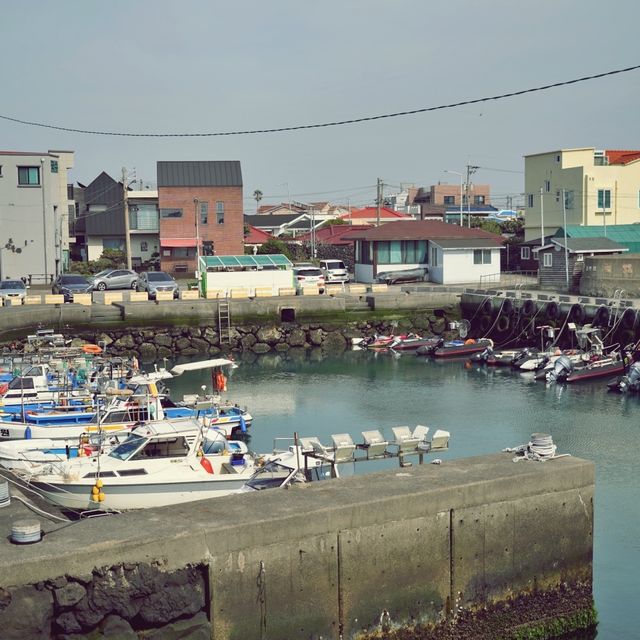 🌊 신촌포구, 제주의 과거와 현재가 공존하는 곳