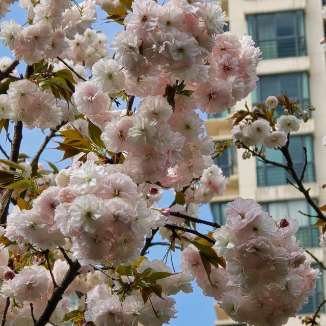 Tian'an Sunshine Plaza - 1000 trees