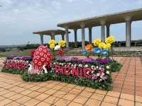 福岡・東区。さくらとネモフィラの共演が楽しめる『海の中道海浜公園』
