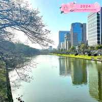 🌼 The relaxing place, Maizuru Park