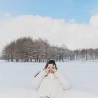 Winter in Sapporo❄️