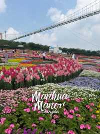 💐 Manhua Manor • Chengdu 