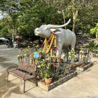 วัยพระพุทธบาทภูควายเงิน🐃