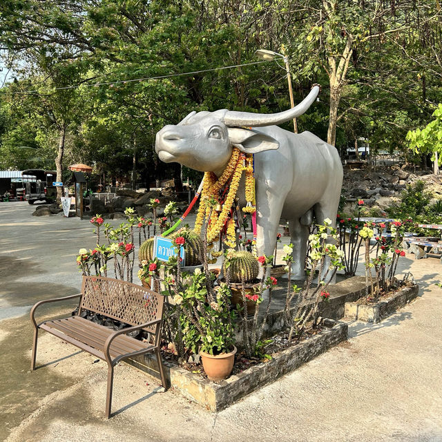 วัยพระพุทธบาทภูควายเงิน🐃