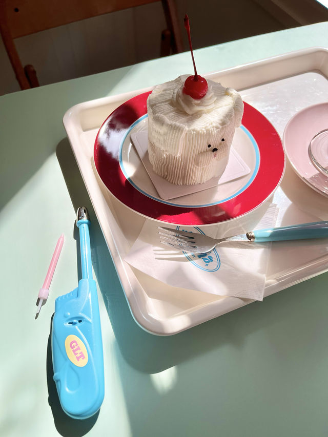 【韓国　ソンス】マルチーズの可愛いケーキが食べれるカフェ