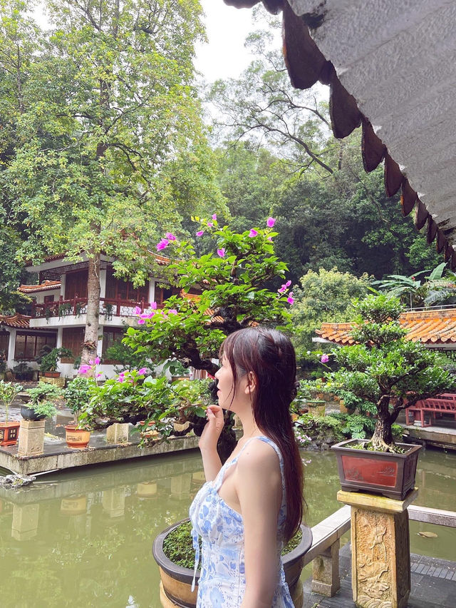 💚深圳仙湖植物園打卡攻略🌟