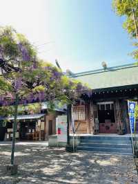 【國領神社/東京都】千年乃藤と飛び出す御朱印