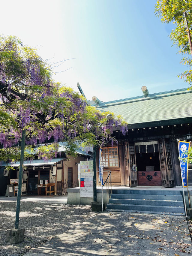 【國領神社/東京都】千年乃藤と飛び出す御朱印