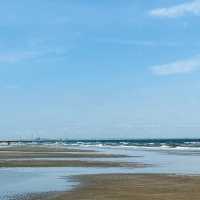 「東京海濱公園：自然風光，野餐玩樂，盡享悠閒海濱時光」