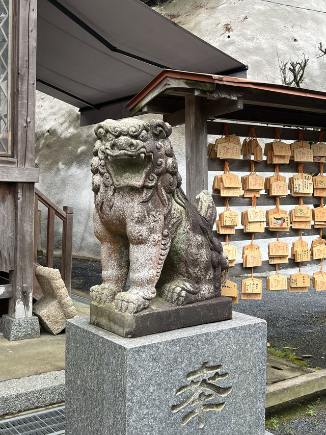 【北九州神社】看板猫に会えるかも？古代から続く神社