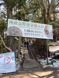 【長野】世界で唯一温泉に入るサルを間近で見れる場所