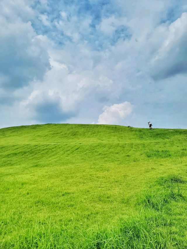 도심에서 즐기는 초록동산 고분군💚
